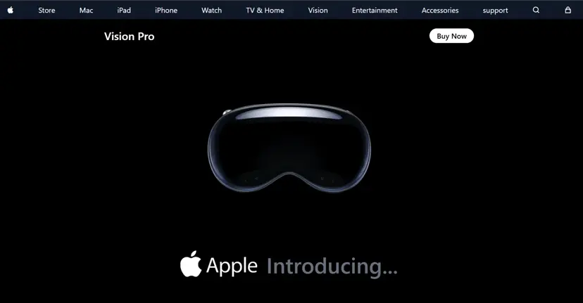 Preview of Vision Pro project